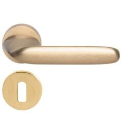 Hafele Kapı Kolu Seti Surf Oda Mat Altın