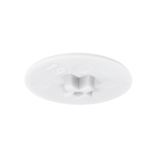 Hafele Minifix Kapak 15mm, Beyaz Renk (500 Adet)