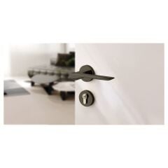 Hafele RIVA WC (Banyo Tipi) Paslanmaz Çelik Renkli Kapı Kolu