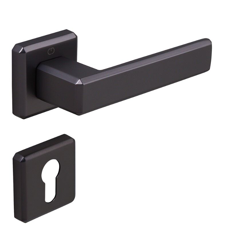 CARLI Kapı Kolu Seti Yale Antrasit Satine