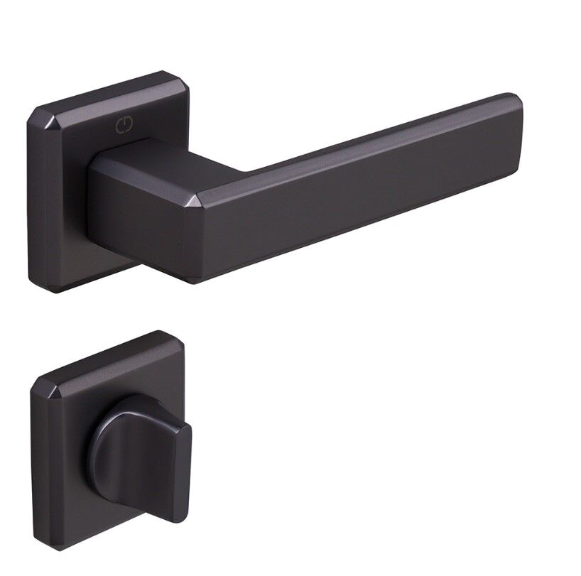 CARLI  Kapı Kolu Seti WC Antrasit Satine