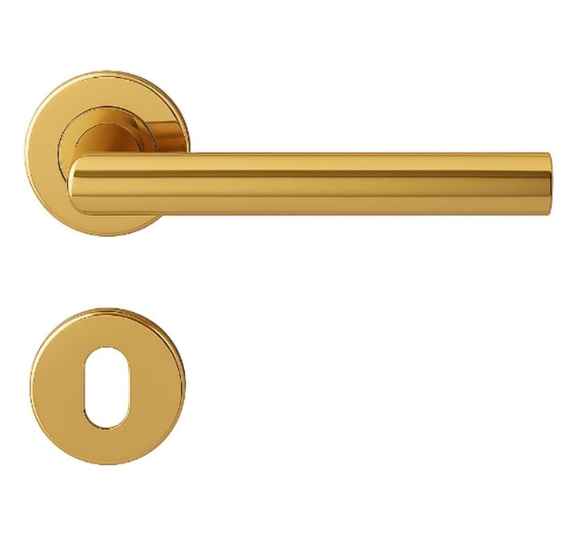 Croma 101 Kapı Kolu Seti Oda Altın Parlak PVD