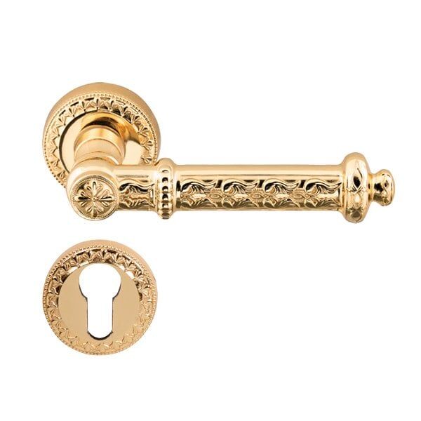 Hafele Kapı Kolu Seti Ponte Barelli Parlak Altın