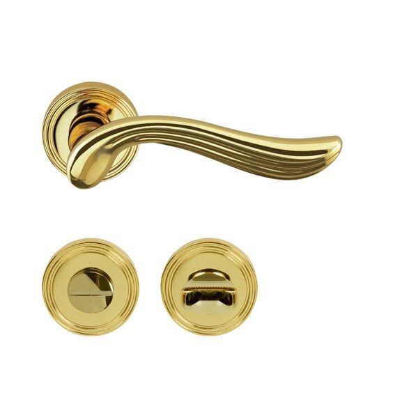 Hafele Kapı Kolu Seti Rouge WC Parlak Altın