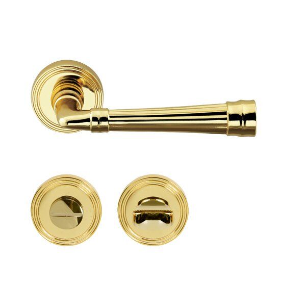 Hafele Kapı Kolu Seti Gain WC Parlak Altın