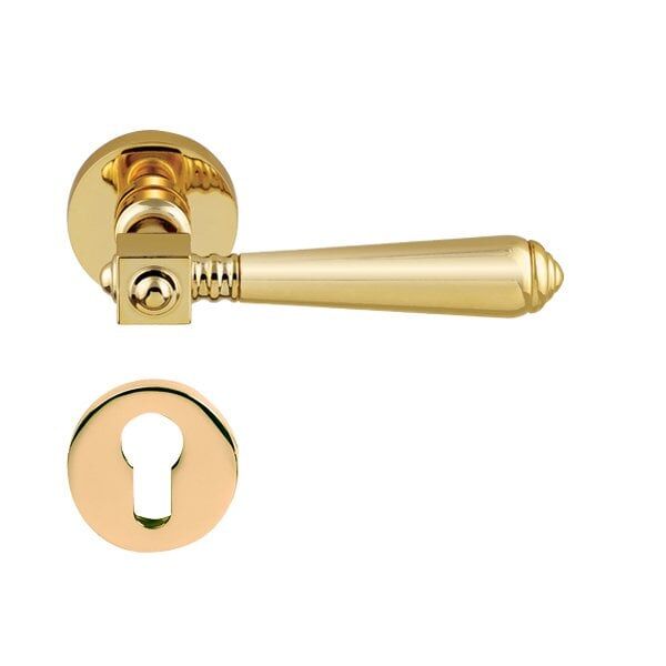 Hafele Kapı Kolu Seti Bien Barelli Parlak Altın